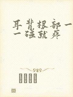 耳背根部一鼓包一碰就疼