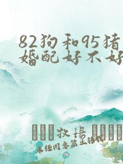 82狗和95猪婚配好不好