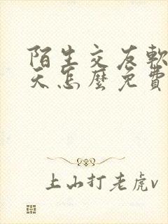 陌生交友软件聊天怎么免费聊天