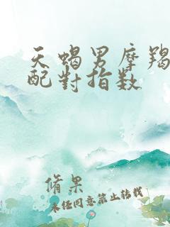 天蝎男摩羯女座配对指数