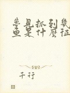 梦见抓到几条大鱼是什么征兆