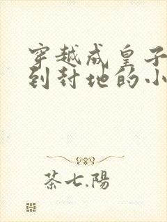 穿越成皇子被贬到封地的小说