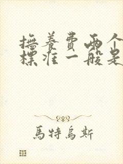 抚养费两个孩子标准一般是多少钱一个月