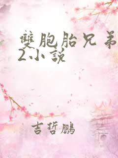 双胞胎兄弟1v2小说