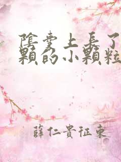 阴囊上长了一颗颗的小颗粒