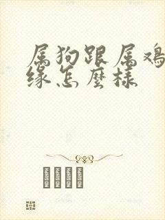 属狗跟属鸡的姻缘怎么样