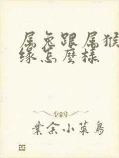 属兔跟属猴的姻缘怎么样