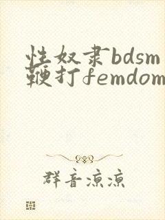 性奴隶bdsm鞭打femdom