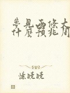 梦见两条大蛇是什么预兆周公解梦