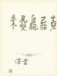 梦见自己生了两个双胞胎儿子