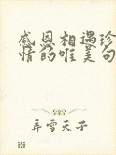 感恩相遇珍惜友情的唯美句子