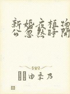 新婚夜植物人老公忽然睁开眼 楼奈奈