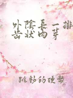 外阴长一排小锯齿状肉芽