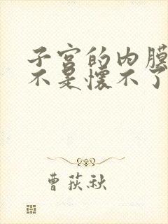 子宫的内膜薄是不是怀不了孕