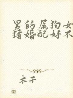 男的属狗女的属猪婚配好不好