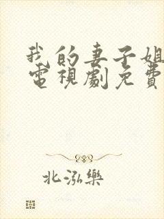 我的妻子姐姐2电视剧免费观看全集