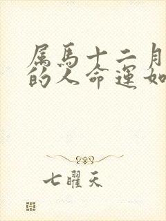 属马十二月出生的人命运如何