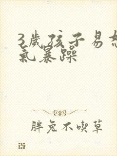 3岁孩子易怒脾气暴躁