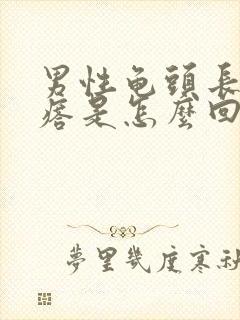 男性龟头长疙疣瘩是怎么回事