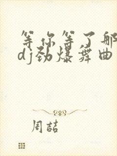 等你等了那么久dj劲爆舞曲