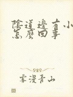 阴道边有小肉粒怎么回事