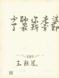 少帅你老婆又跑了最新章节列表