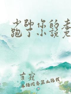 少帅你的老婆又跑了小说免费阅读