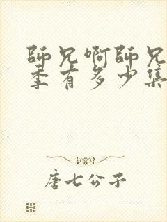 师兄啊师兄第二季有多少集