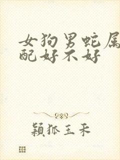 女狗男蛇属相婚配好不好