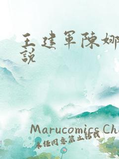 王建军陈娜的小说