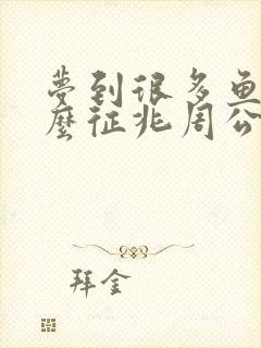 梦到很多鱼是什么征兆周公解梦