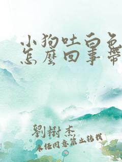 小狗吐白色粘液怎么回事带泡泡