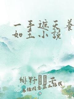 一手遮天养母林如玉小说