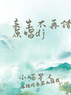 来生不再错过你原唱dj