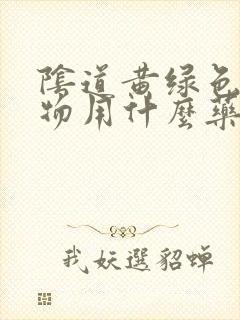 阴道黄绿色分泌物用什么药