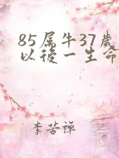 85属牛37岁以后一生命运
