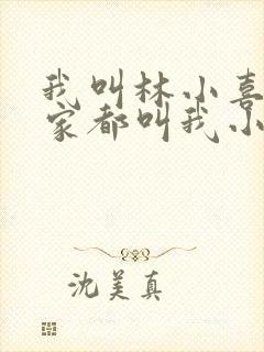 我叫林小喜 大家都叫我小喜小说