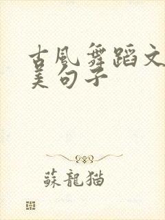 古风舞蹈文案唯美句子