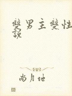 双男主双性人小说