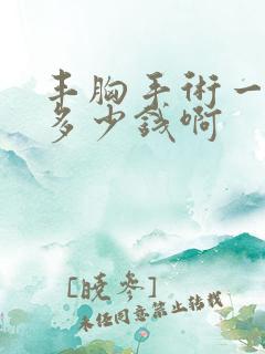 丰胸手术一般要多少钱啊