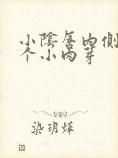 小阴唇内侧有两个小肉芽