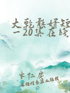大乾憨婿短剧1一20集在线看