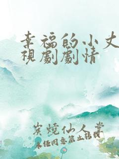 幸福的小丈夫电视剧剧情