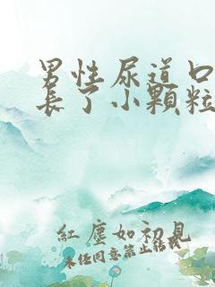 男性尿道口周围长了小颗粒