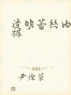 透明蕾丝内衣内裤