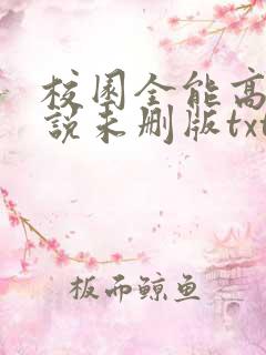 校园全能高手小说未删版txt