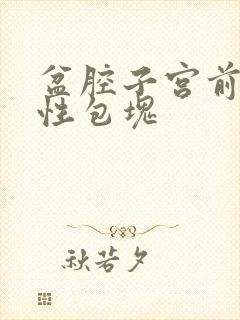 盆腔子宫前方囊性包块