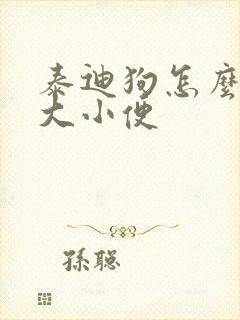 泰迪狗怎么训练大小便