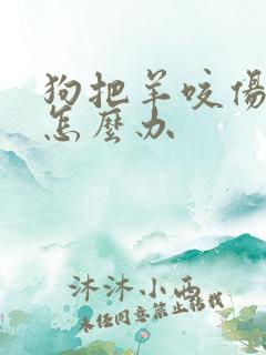 狗把羊咬伤了该怎么办