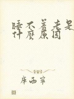 睡不着老是醒是什么原因